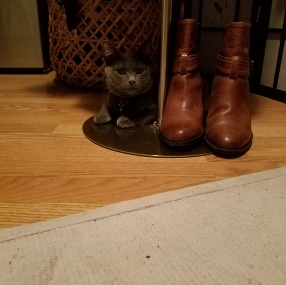 Meet your Posher, Cynthia - Picture 3 of 9